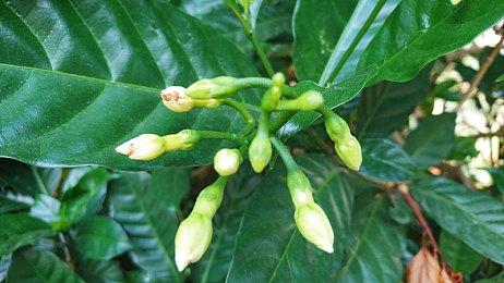 《光与影：33号远征队》首日销量超过50万套